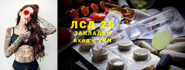 стафф Алзамай